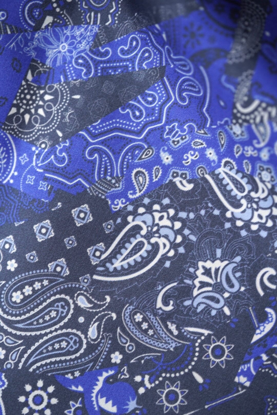 Lining-Bemberg P1310 Bemberg Lining - Paisley